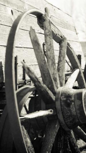 dnf婚房满属性截图1