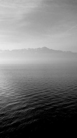 梦幻西游手游变态私服截图1