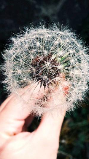 新开合击传奇网站截图1