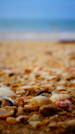 dnf官网活动截图1