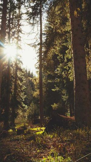 新白娘子传奇演员表截图4