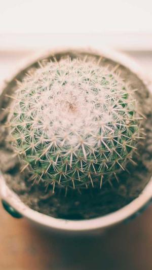 冒险岛海盗一号截图5