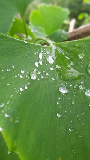 冒险岛140级去哪升级截图4