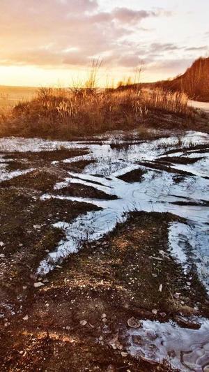 李小龙传奇截图3