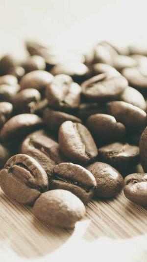 狸猫换太子传奇截图3