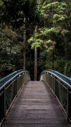 dnf力驱加点截图2