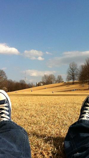 冒险岛蝙蝠怪怎么打截图4