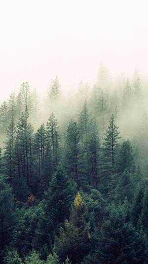 新开传奇变态私服截图2