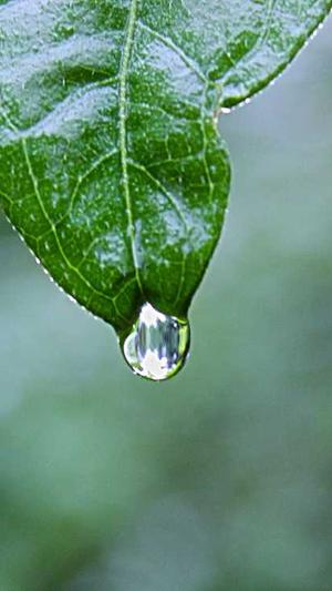 冒险岛手游官网截图2