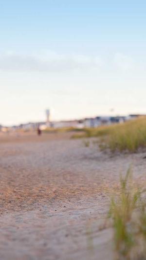 冒险岛音乐截图2