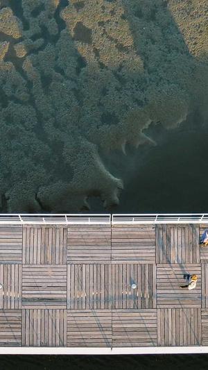 冒险岛鲁塔比斯任务截图3