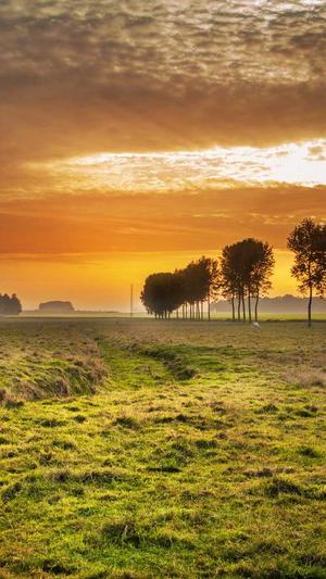 dnf武神加点截图2