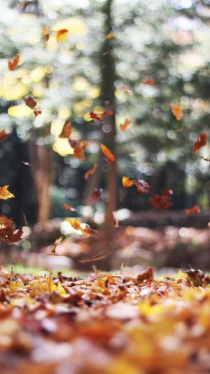 奇迹战士12wpk加点截图3