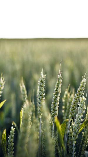 热血传奇之路截图1