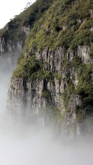 新开传奇世界私服发布网截图3