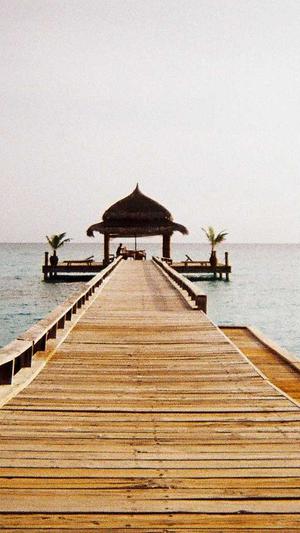 冒险岛冰狼截图4