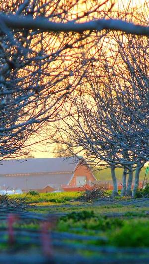 传奇客户端截图4