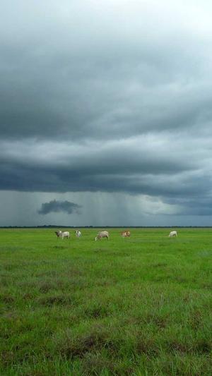 冒险岛2职业推荐2018截图1