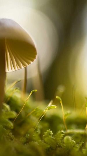 dnf2020金秋套外观截图5