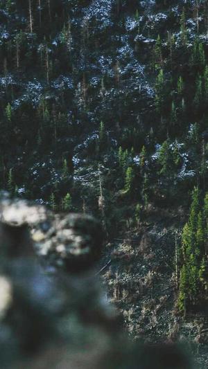 dnf怎么退工会截图4