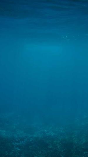 dnf物理攻击宝珠截图5