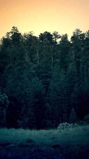 冒险岛发型截图5