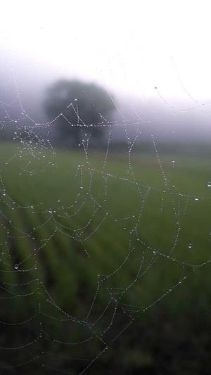 冒险岛脚本截图3