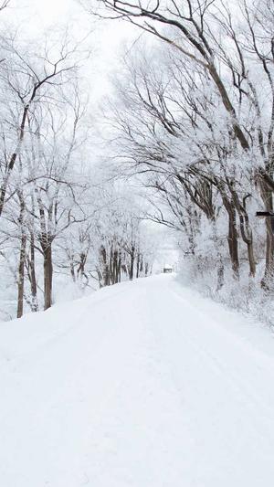 冒险岛无敌版截图1