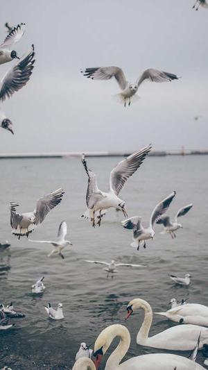 dnf独立攻击力截图1