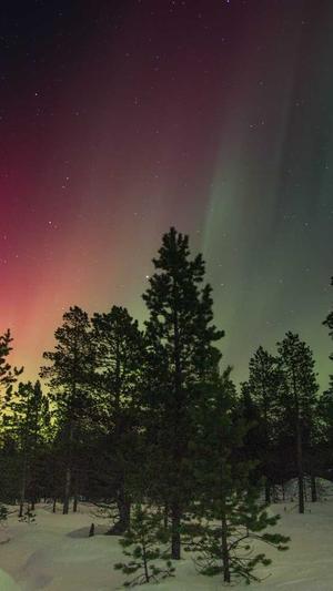 dnf男大枪刷图加点截图4