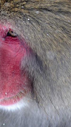 梦幻西游2私服下载截图4