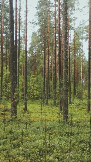 1.85复古传奇私服截图2