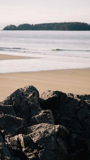 冒险岛结婚戒指截图5