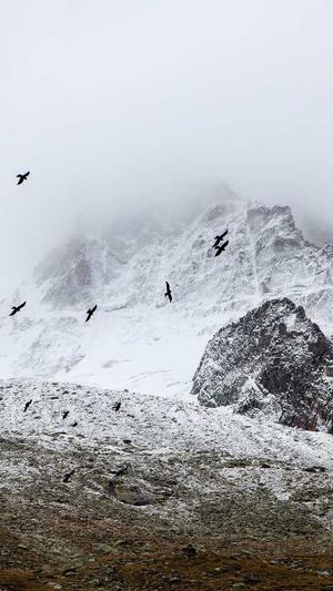 古战场传奇截图1