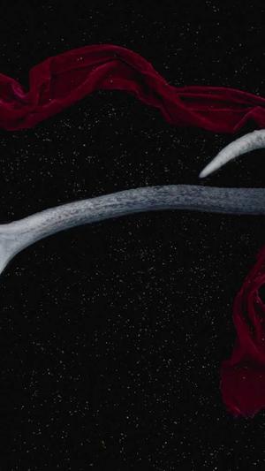 冒险岛5转截图5