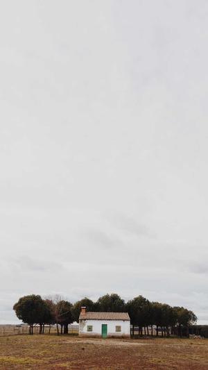 堕落街传奇截图3