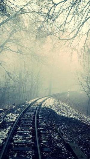 冒险岛sf发布站截图4