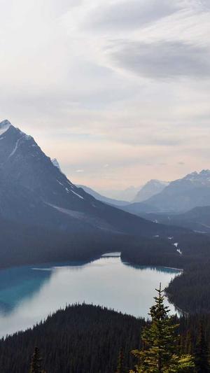 dnf多玩官网截图5