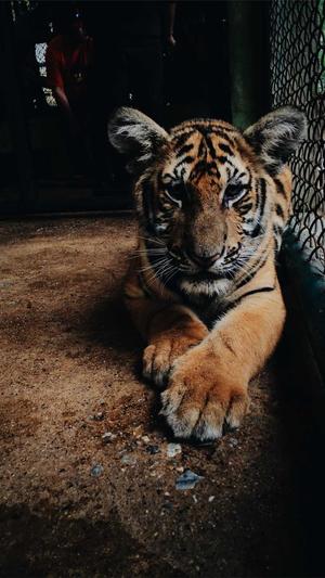 变态传奇世界截图1