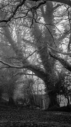 wpk德州扑扑克app截图5