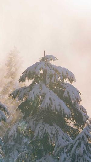 浙江丽水冒险岛水世界截图2