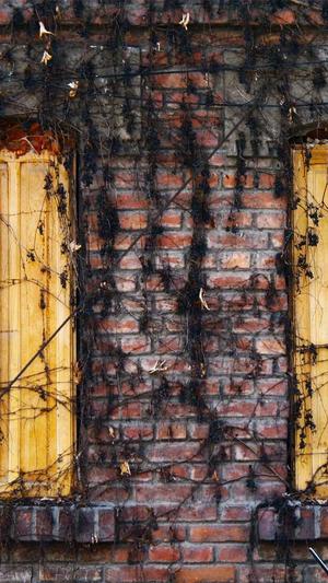 楚汉传奇 电视剧截图2