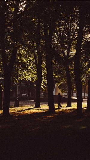 传奇私服发布网站截图5