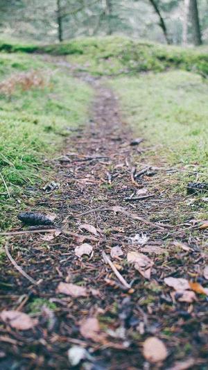 dnf男气功武器截图4