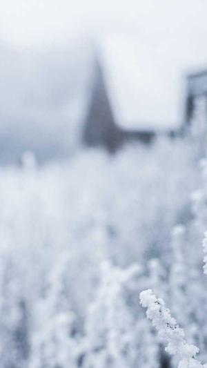 冒险岛蝙蝠怪怎么打截图1