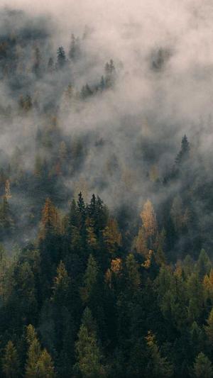 楚汉传奇 电视剧截图3