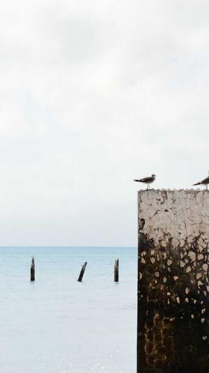 少林寺传奇截图4