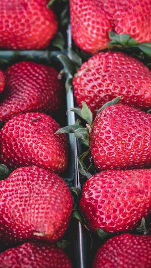 大玉儿传奇截图1