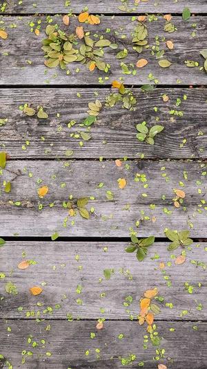 传奇世界 私服截图2