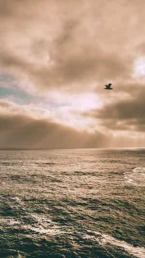 冒险岛冰狼截图1